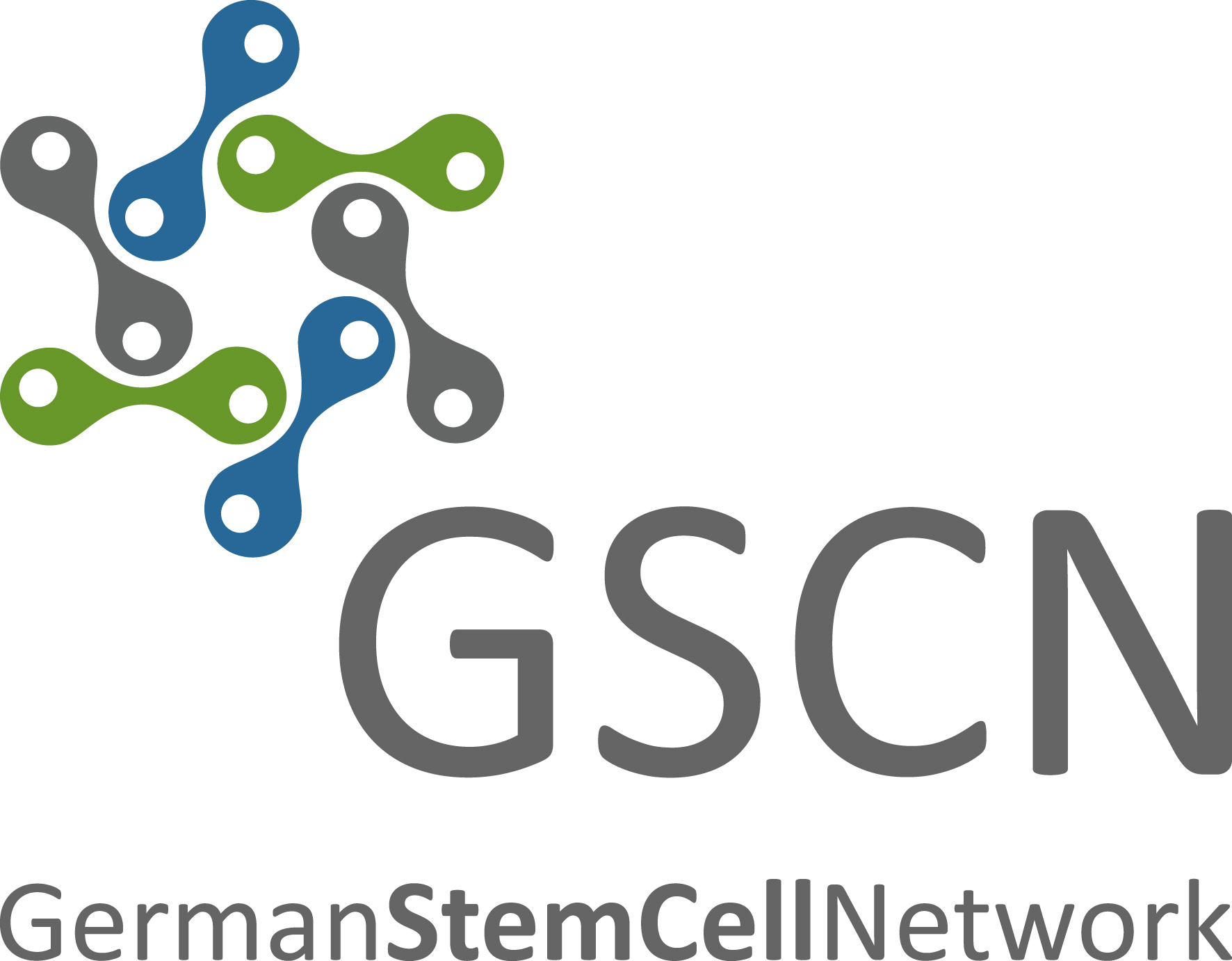 German Stem Cell Network